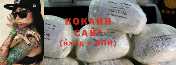 индика Алексин