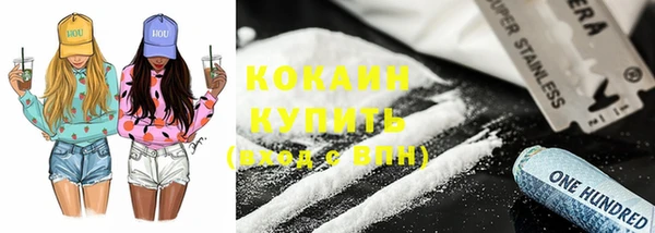 индика Алексин