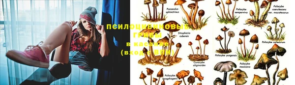 мяу мяу кристалл Алзамай