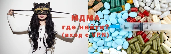 индика Алексин