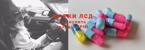 индика Алексин