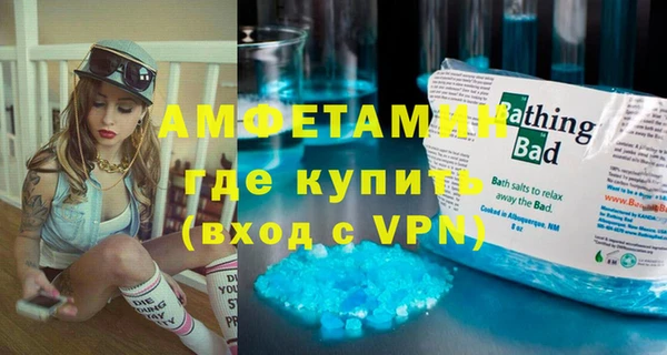 индика Алексин