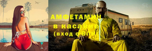 индика Алексин