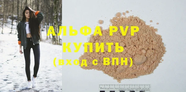 индика Алексин